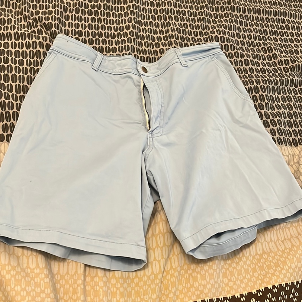 Blue American Apparel Shorts